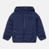 Guess UNISEX - Winter Jacket - Cave Blue