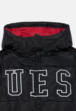Guess PUFFER W/ZIP - Winter Jacket - Jet Black 5 Guess PUFFER W/ZIP - Winter Jacket - Jet Black -Guess Clothing Sale 2a38a799bd1f480bb68f7f9c62bb28ac