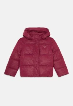 Guess HOODED LS PADDED PUFFER W ZIP - Winter Jacket - Ballroom Red