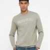 Guess LOGO FLOCK TEE - Long Sleeved Top - Sage Plant